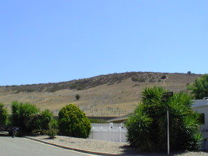 Hill trails2